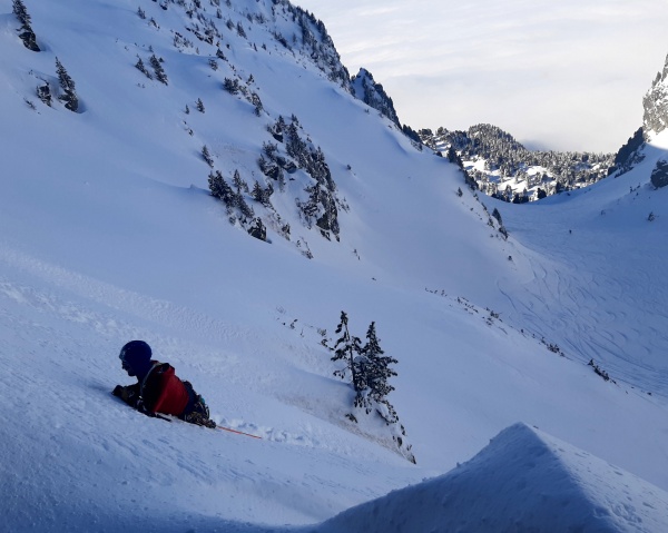 Brassage Guillotine L1