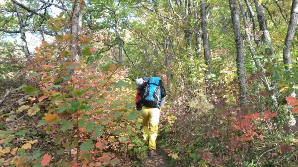Marche d'approche au milieu des belles couleurs d'automne