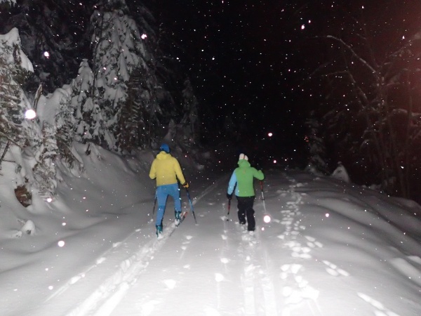 Sortie by night à la rencontre de la faune locale
