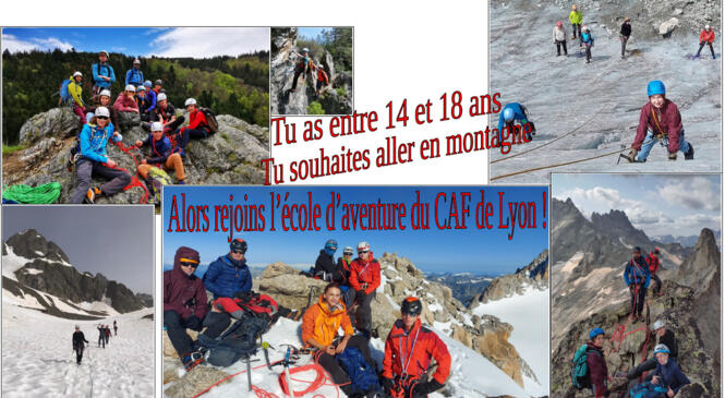 image article